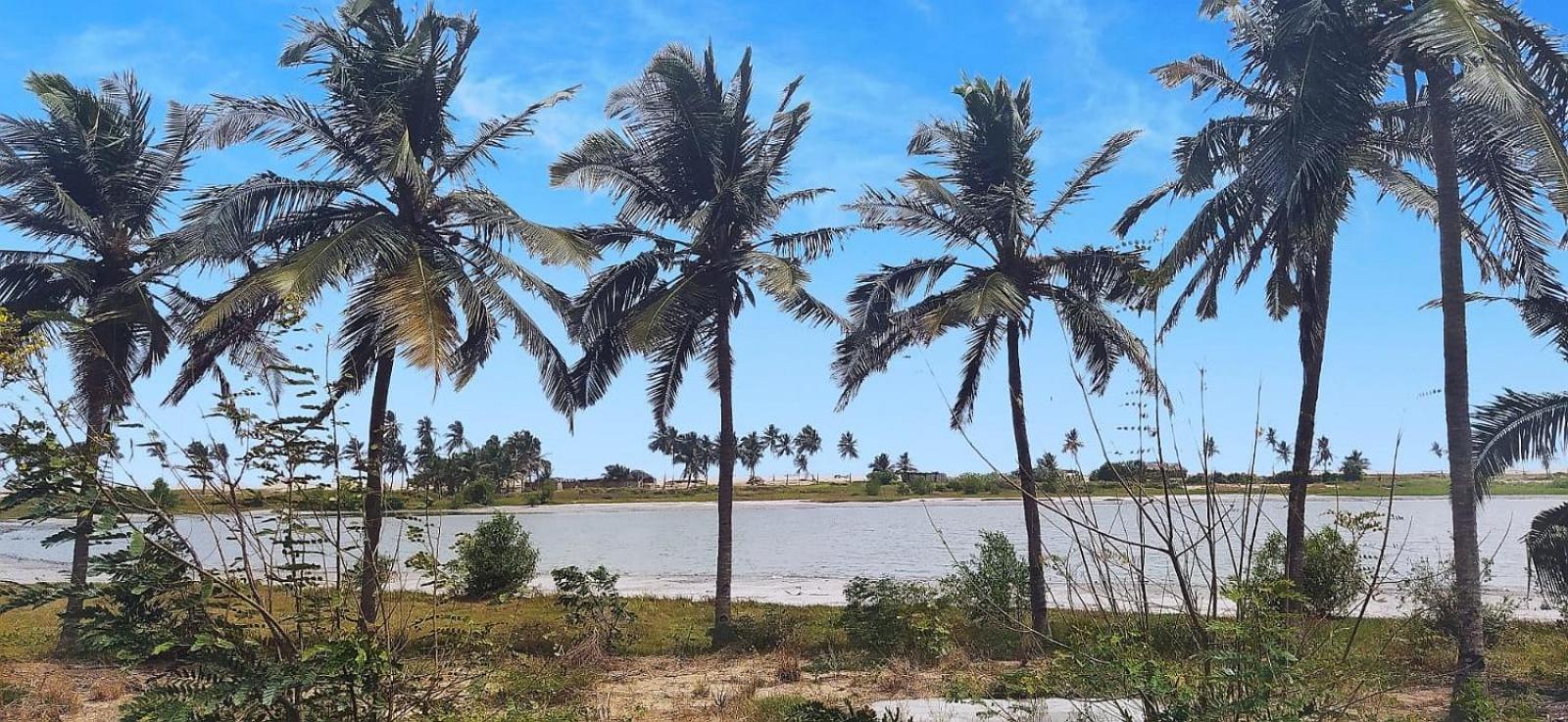 A&Y Wild Camp Ghana Keta المظهر الخارجي الصورة