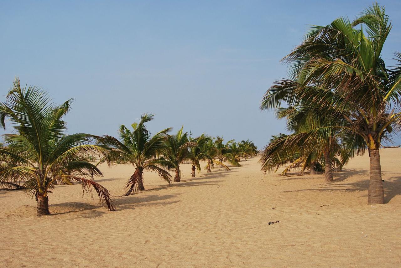 A&Y Wild Camp Ghana Keta المظهر الخارجي الصورة