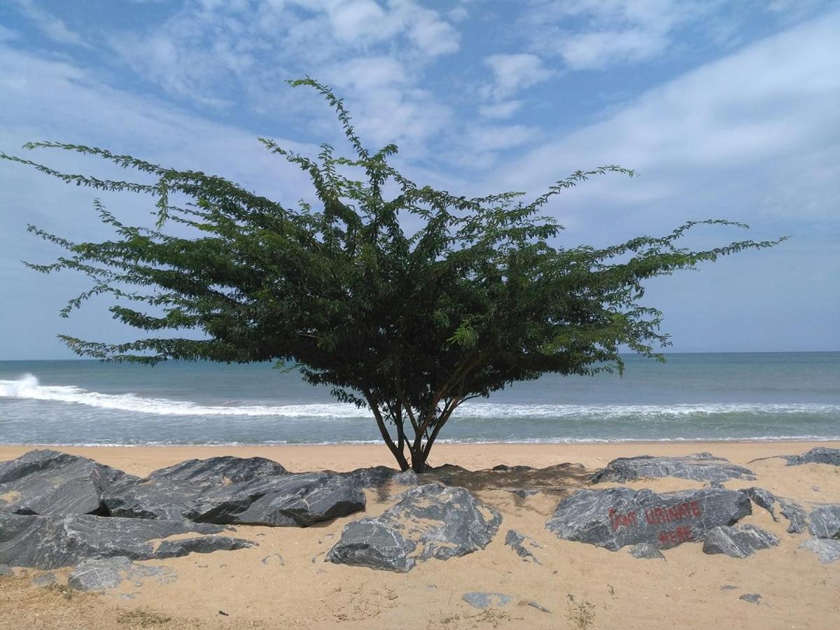 A&Y Wild Camp Ghana Keta المظهر الخارجي الصورة